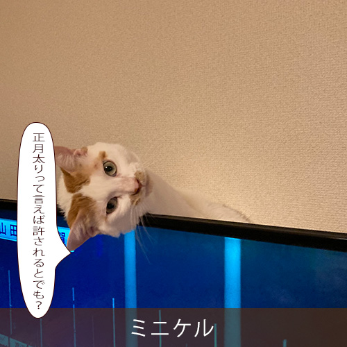 20260110.jpg