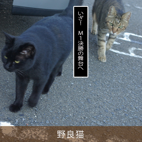 20260126.jpg