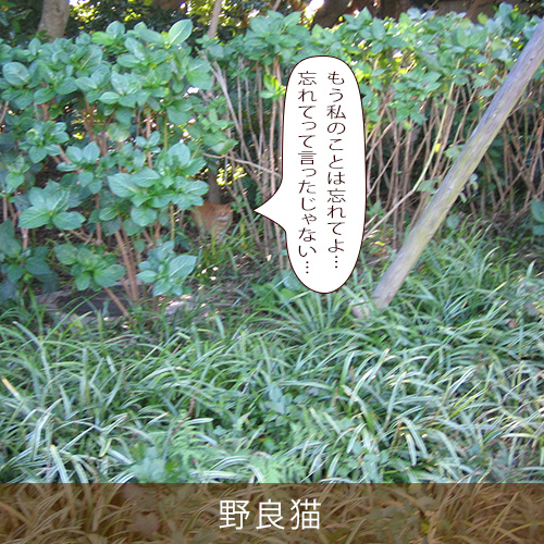 20260227.jpg