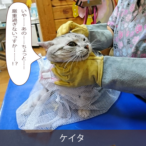 20260911.jpg