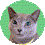 today_icon.jpg