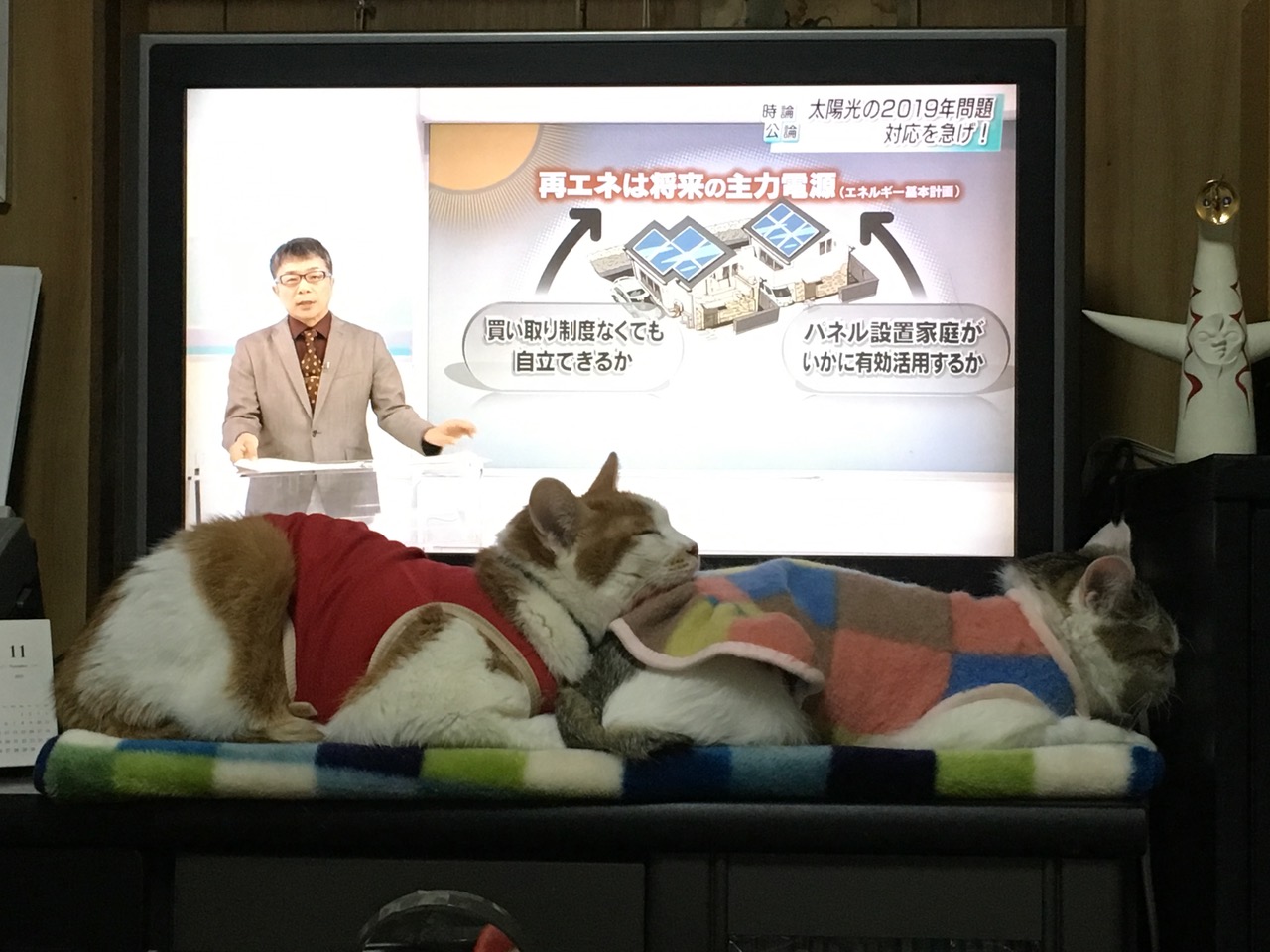 !cid_991BD904.jpg