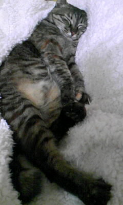 120308_231404.JPG