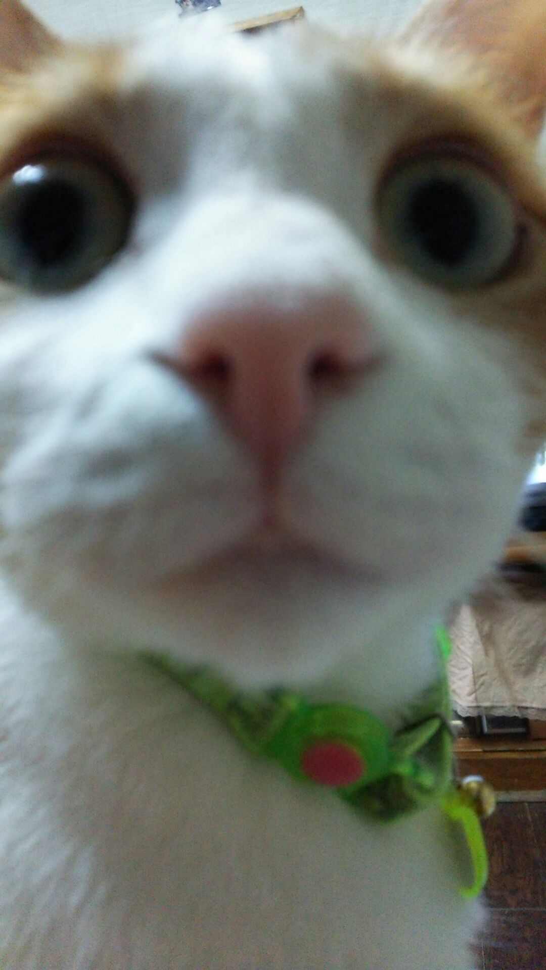 1448929737225.jpg