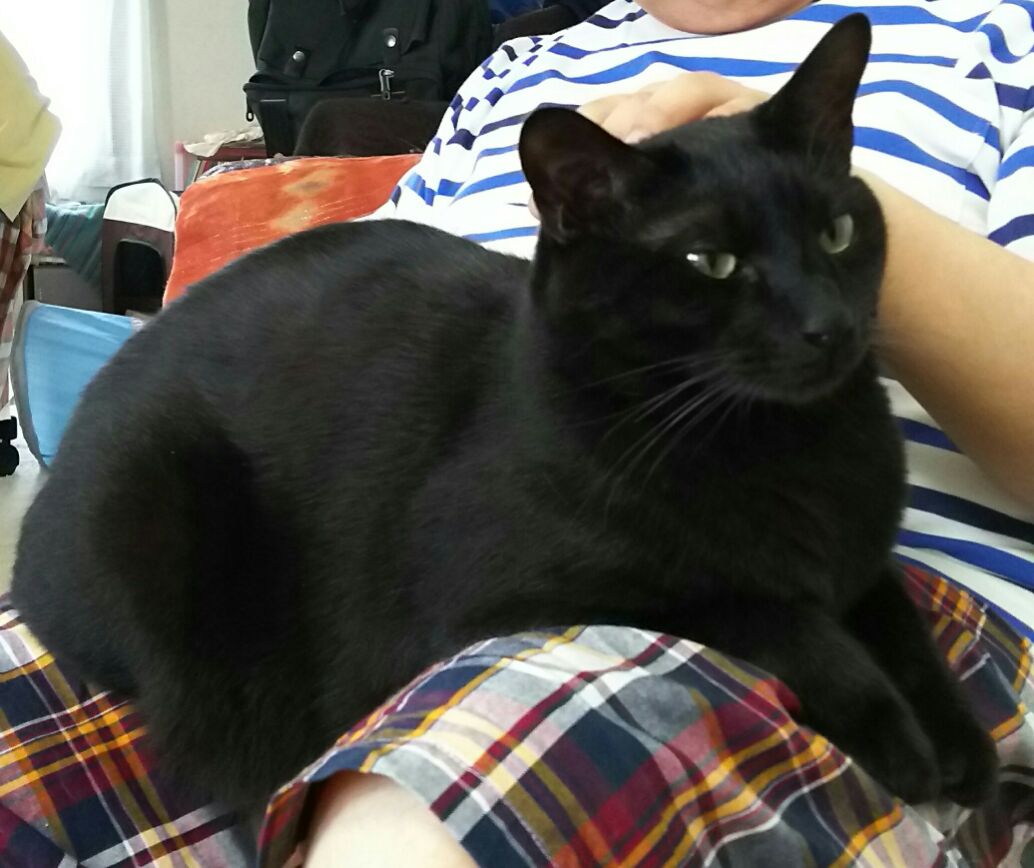 1467527699046.jpg