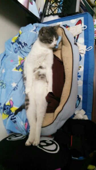 1484807124122.jpg