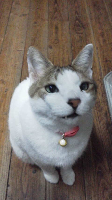 2010122020330000.jpg