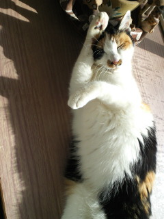 201101211254000.jpg