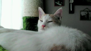 20120503130446.jpg