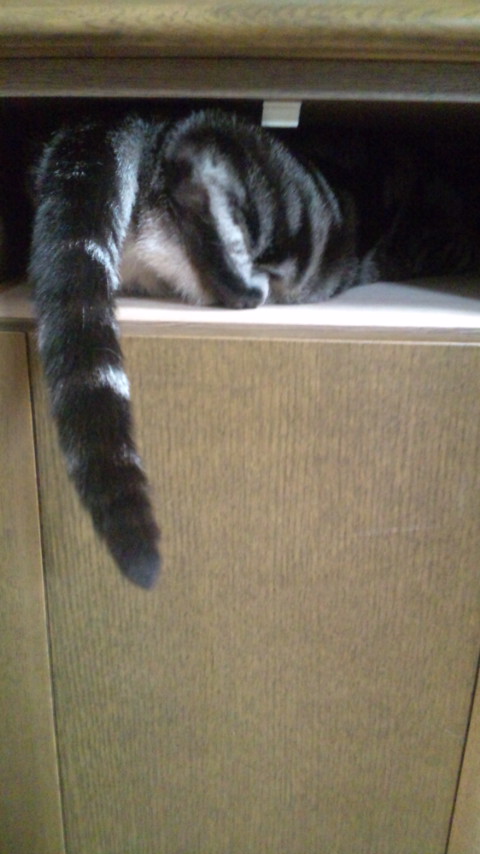 20130601195821.jpg