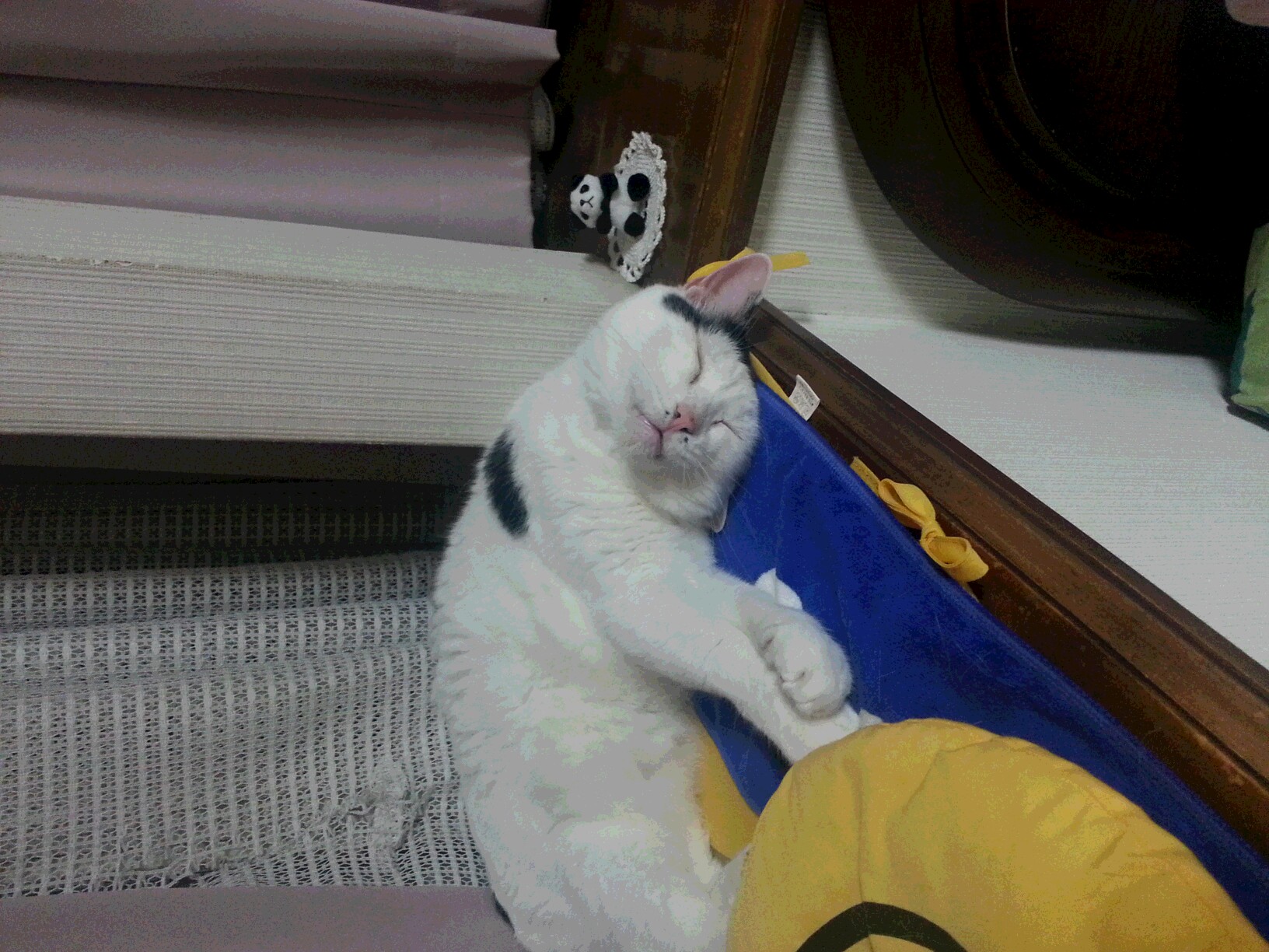 20130624_011326.jpg