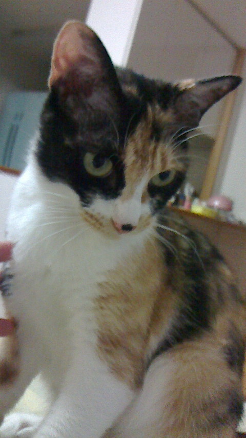 2013070919200000.jpg