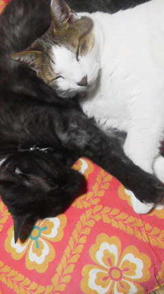 2013091621480000.jpg