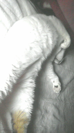 2014033012230000.jpg