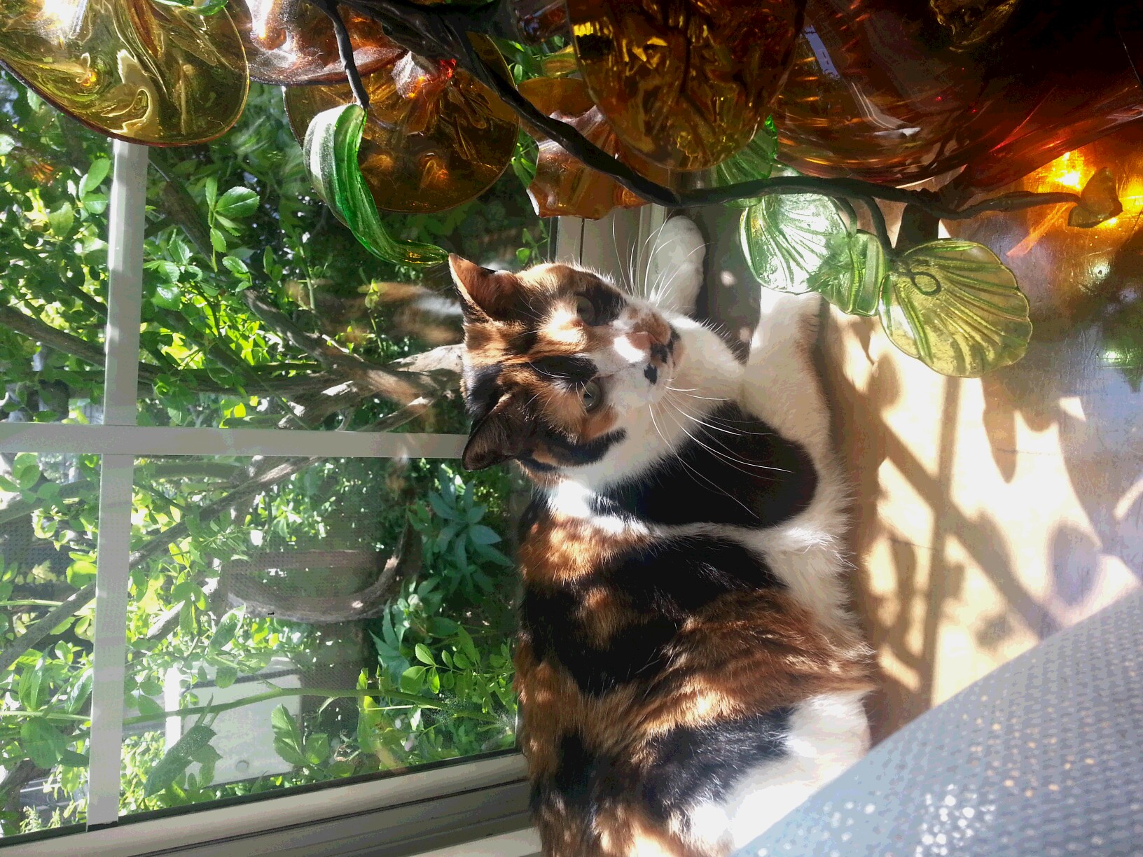 20140427_131335.jpg