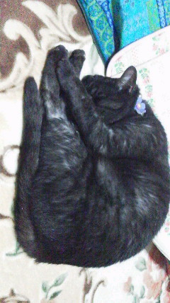 2014060822440000.jpg