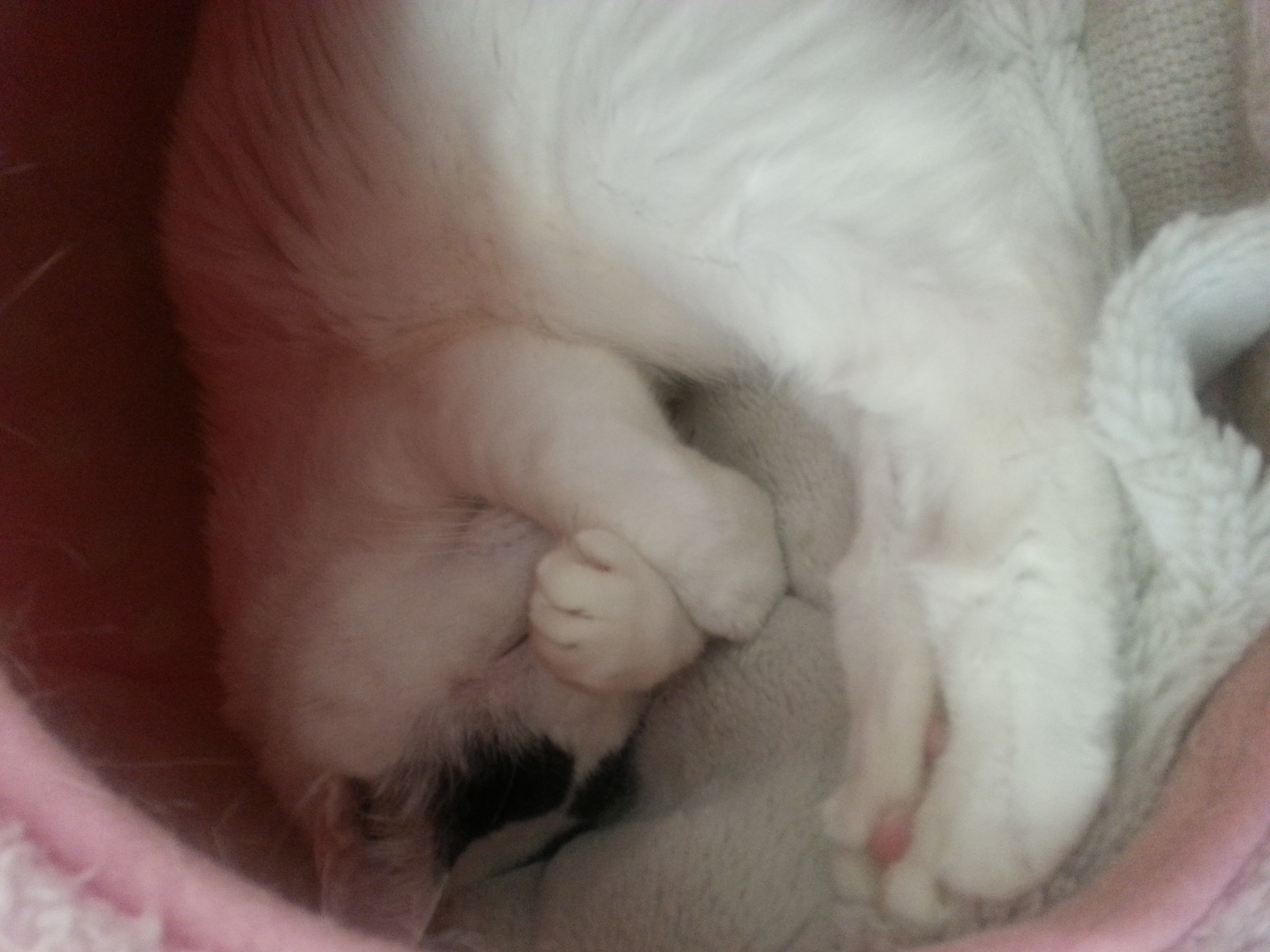 20141228_132527.jpg
