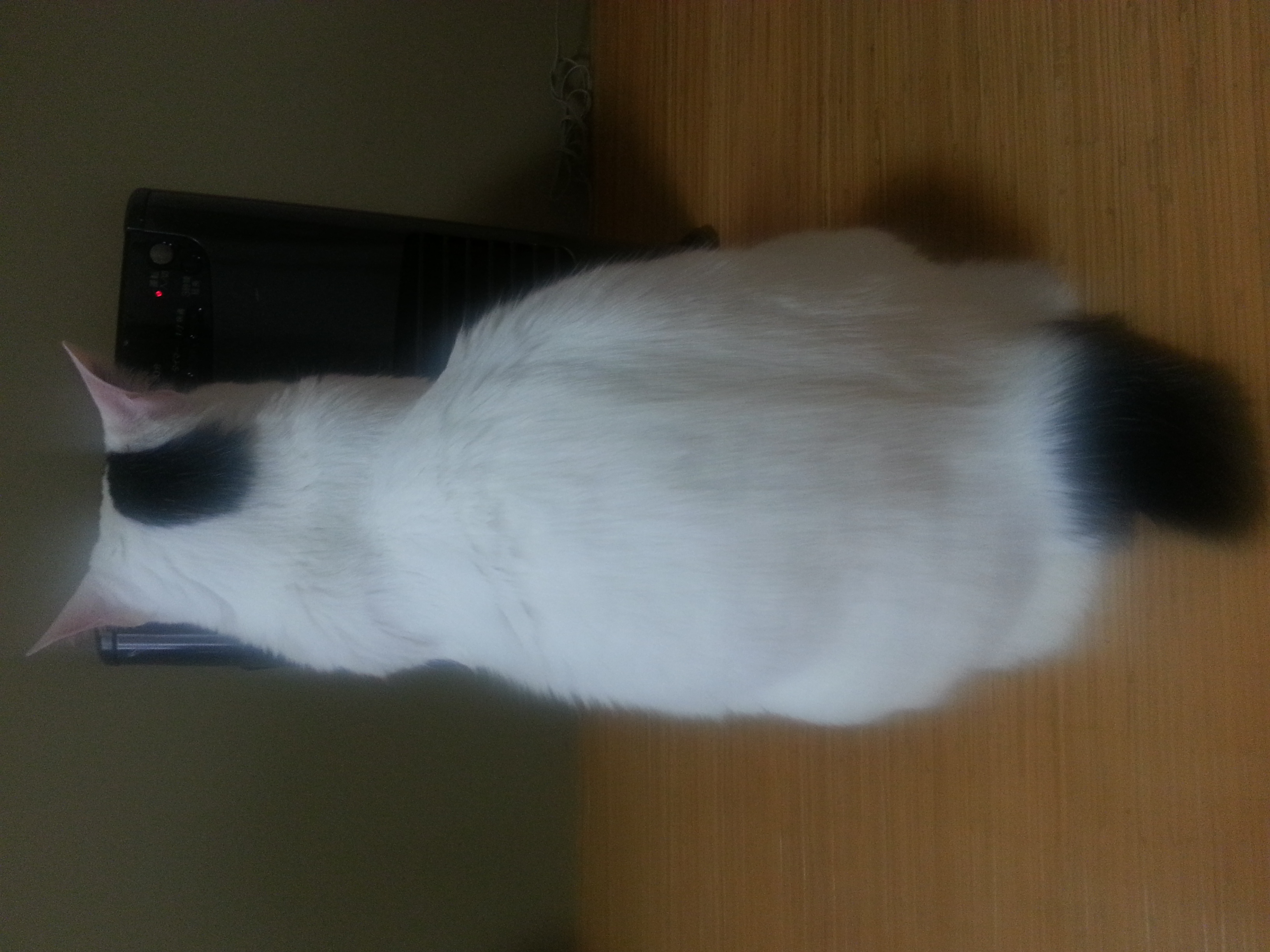 20150314_151538.jpg