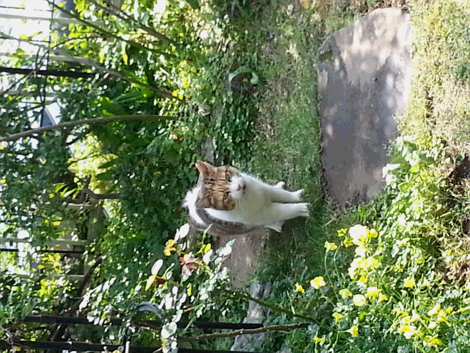 20150425_085937.jpg
