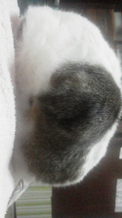 2015062220570000.jpg