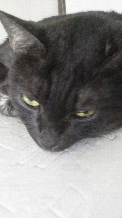 2015090609000000.jpg
