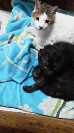 2015091600100000.jpg