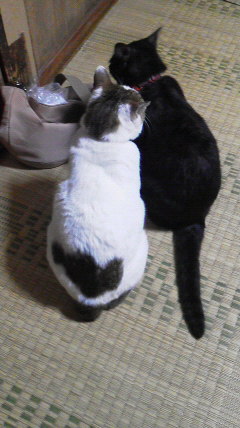 2015100120210000.jpg