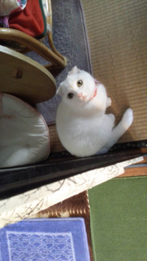 2015100216350000.jpg