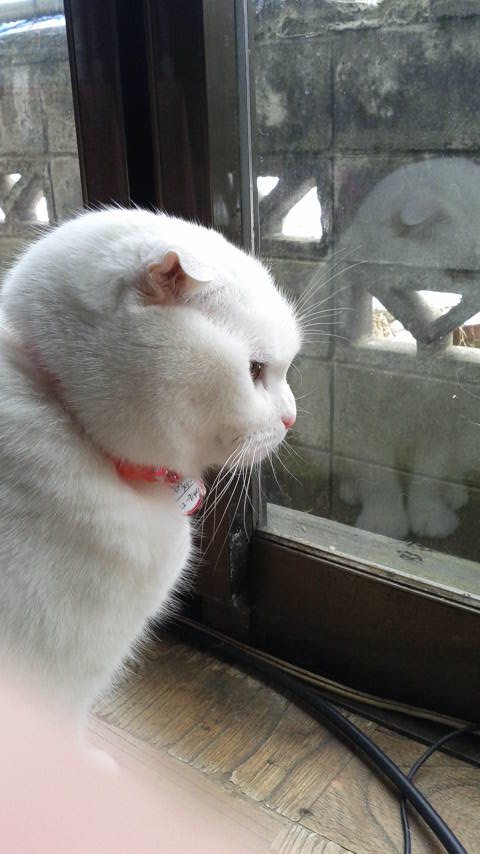 2016020412460000.jpg