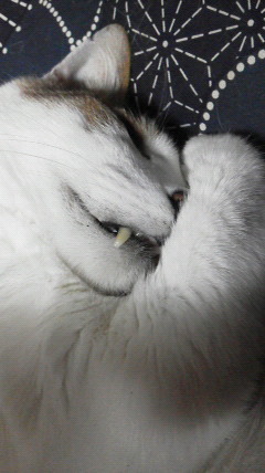 2016061102260000.jpg