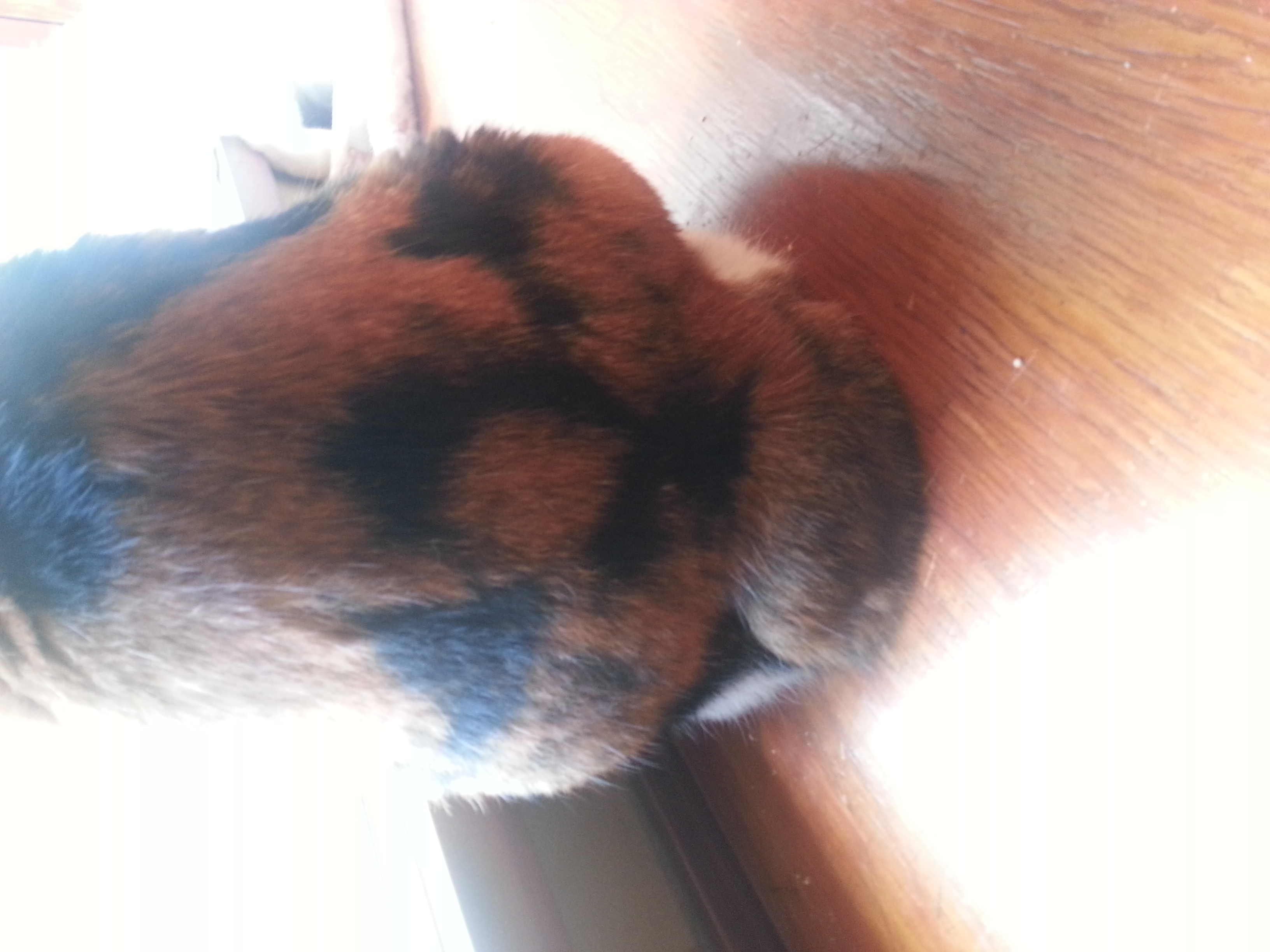 20160807_080926.jpg