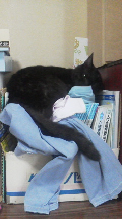 2016082816300000.jpg