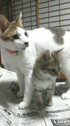 2016102418540000.jpg