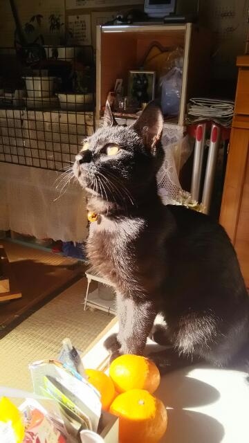 20161123_193849.jpg