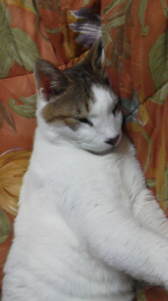2016112714030001.jpg