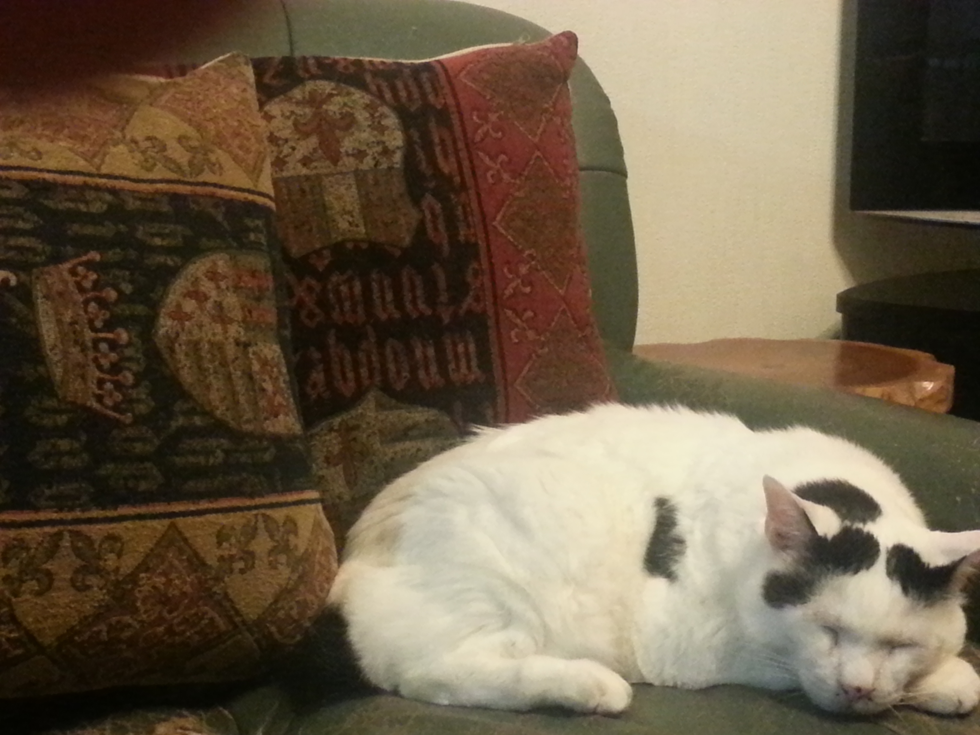 20161226_174727.jpg