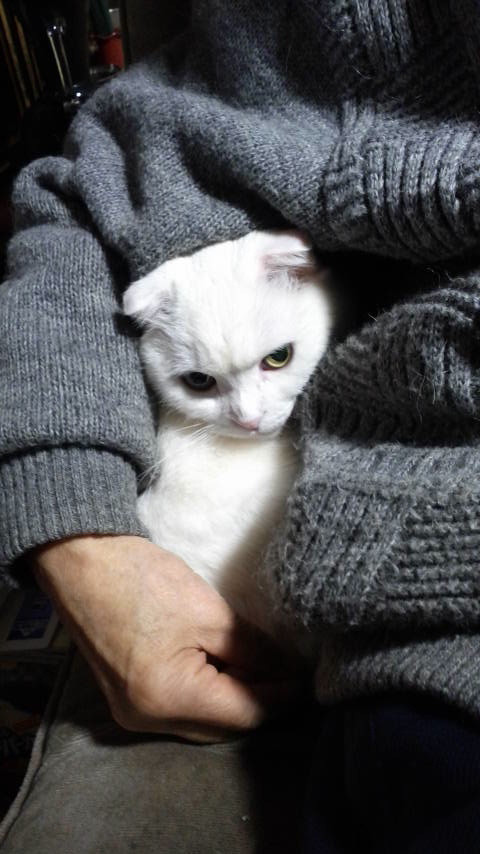 2017010419110000.jpg