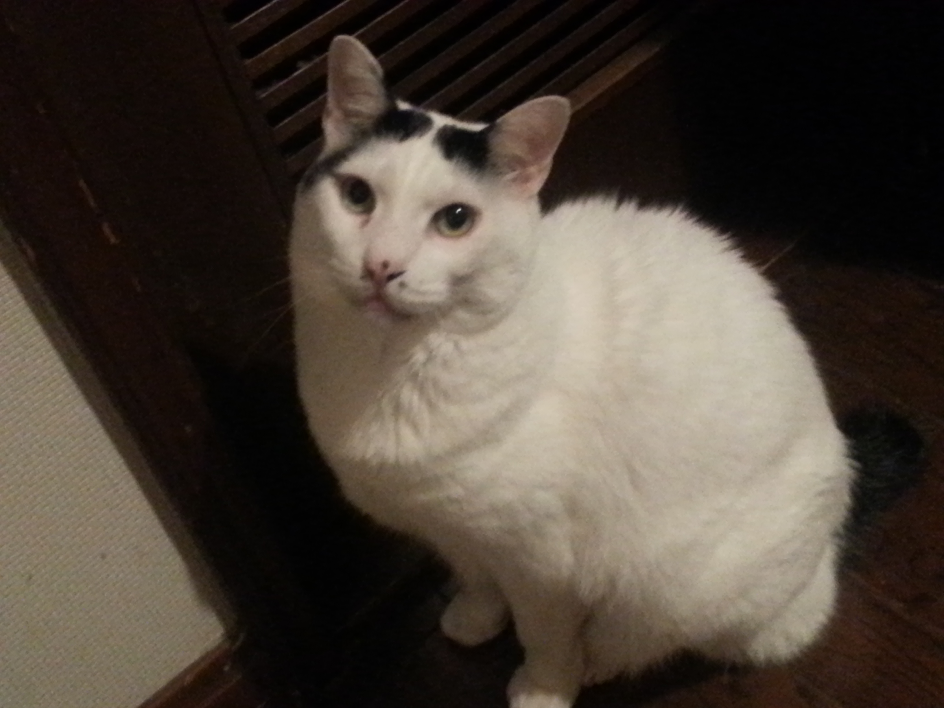 20170222_223212.jpg