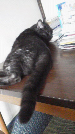 2017072309470000.jpg