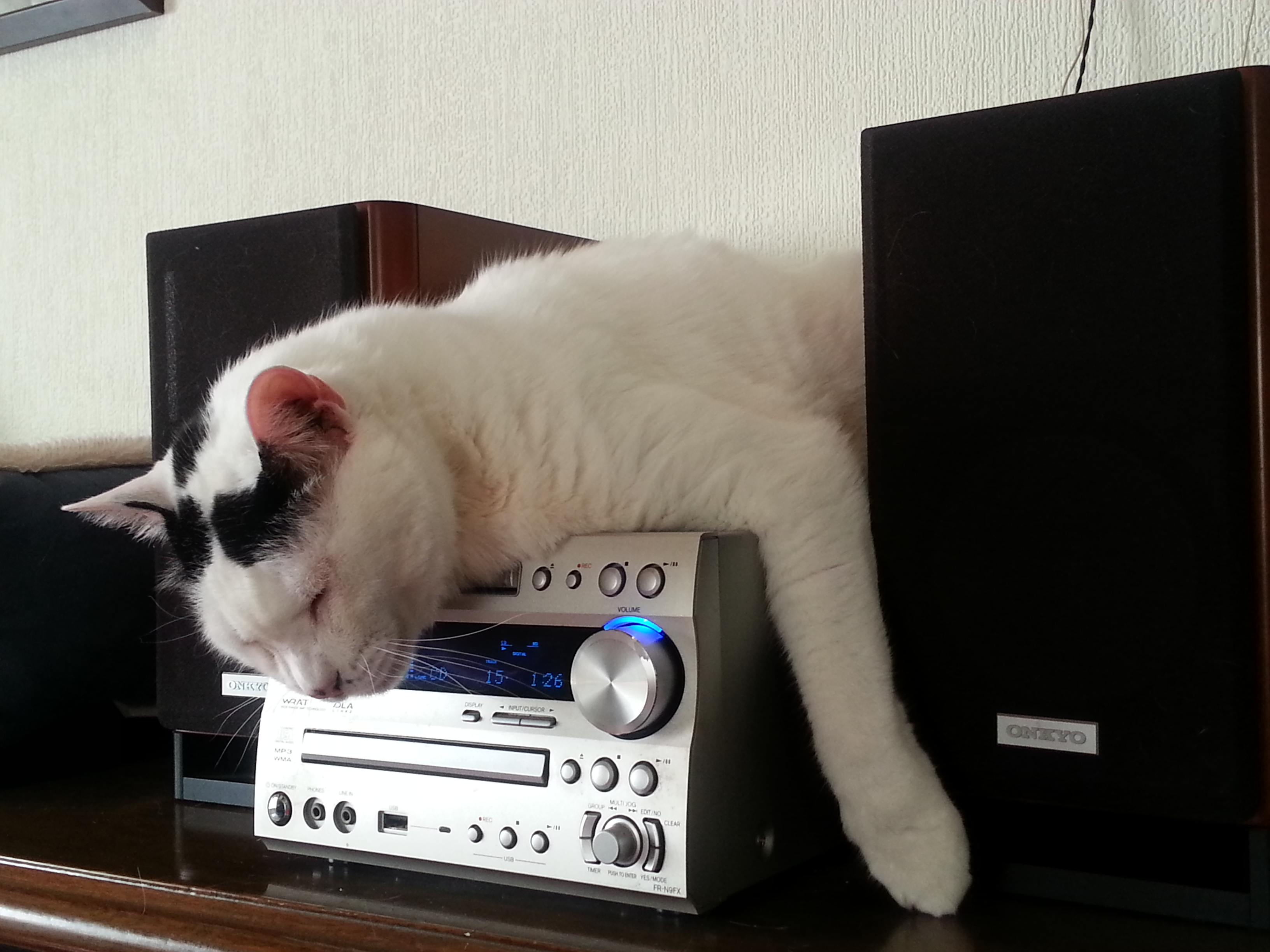 20171216_103714.jpg