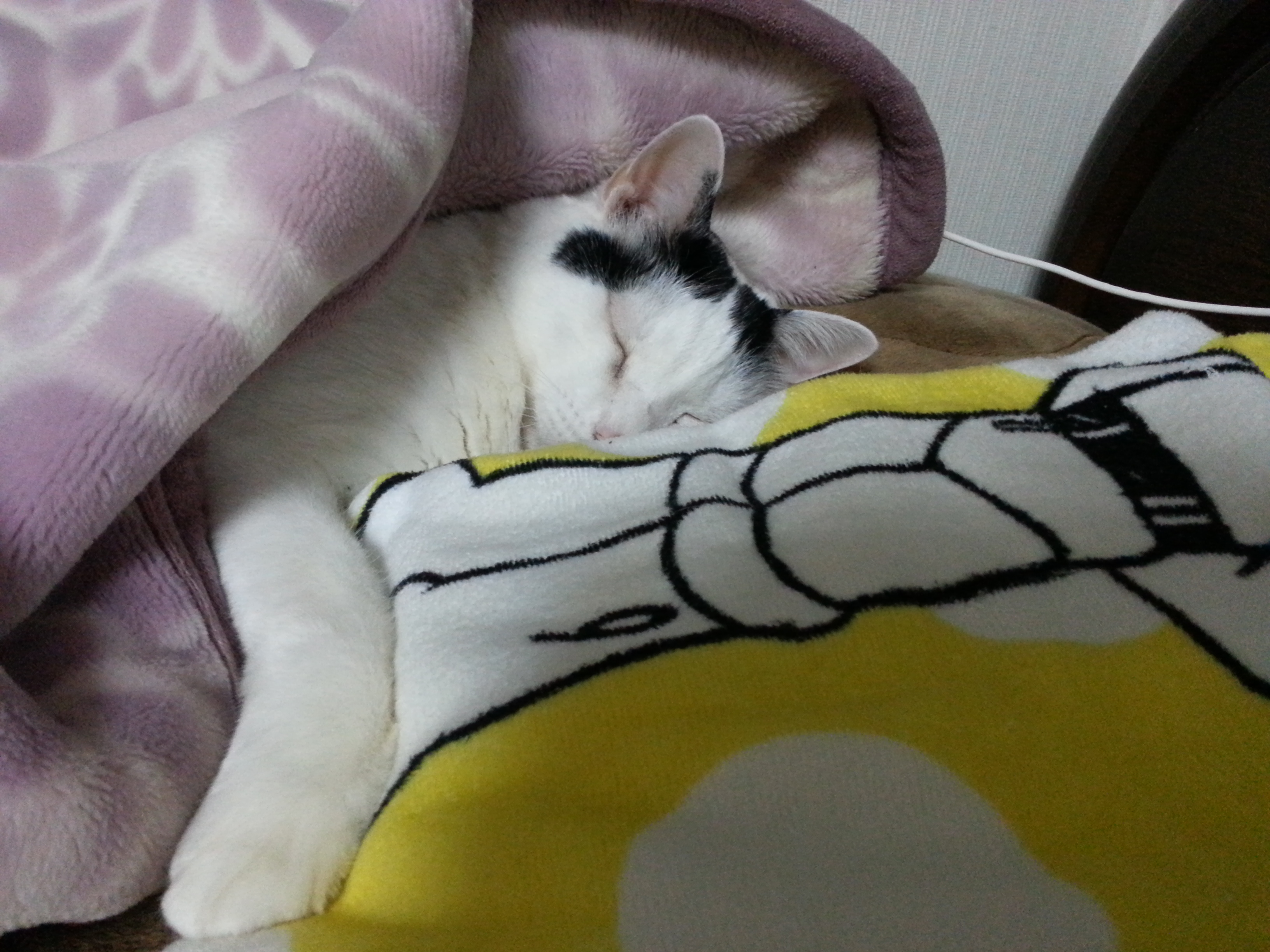 20171222_055250.jpg