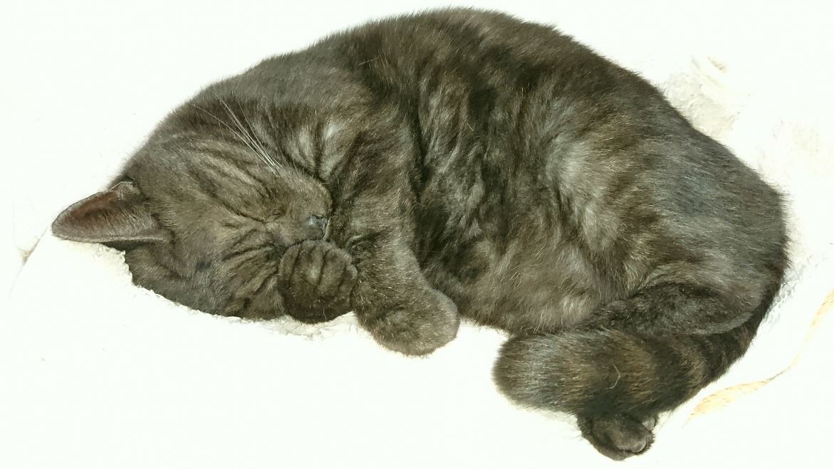 20180104022117.JPG