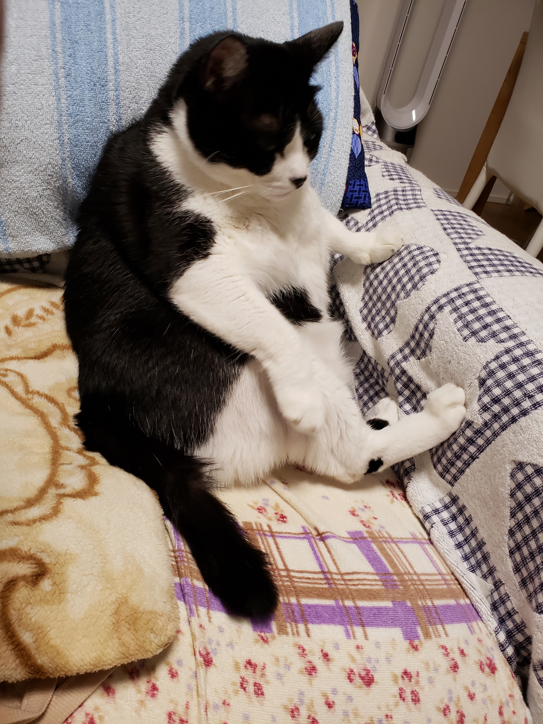 20181017_203834.jpg