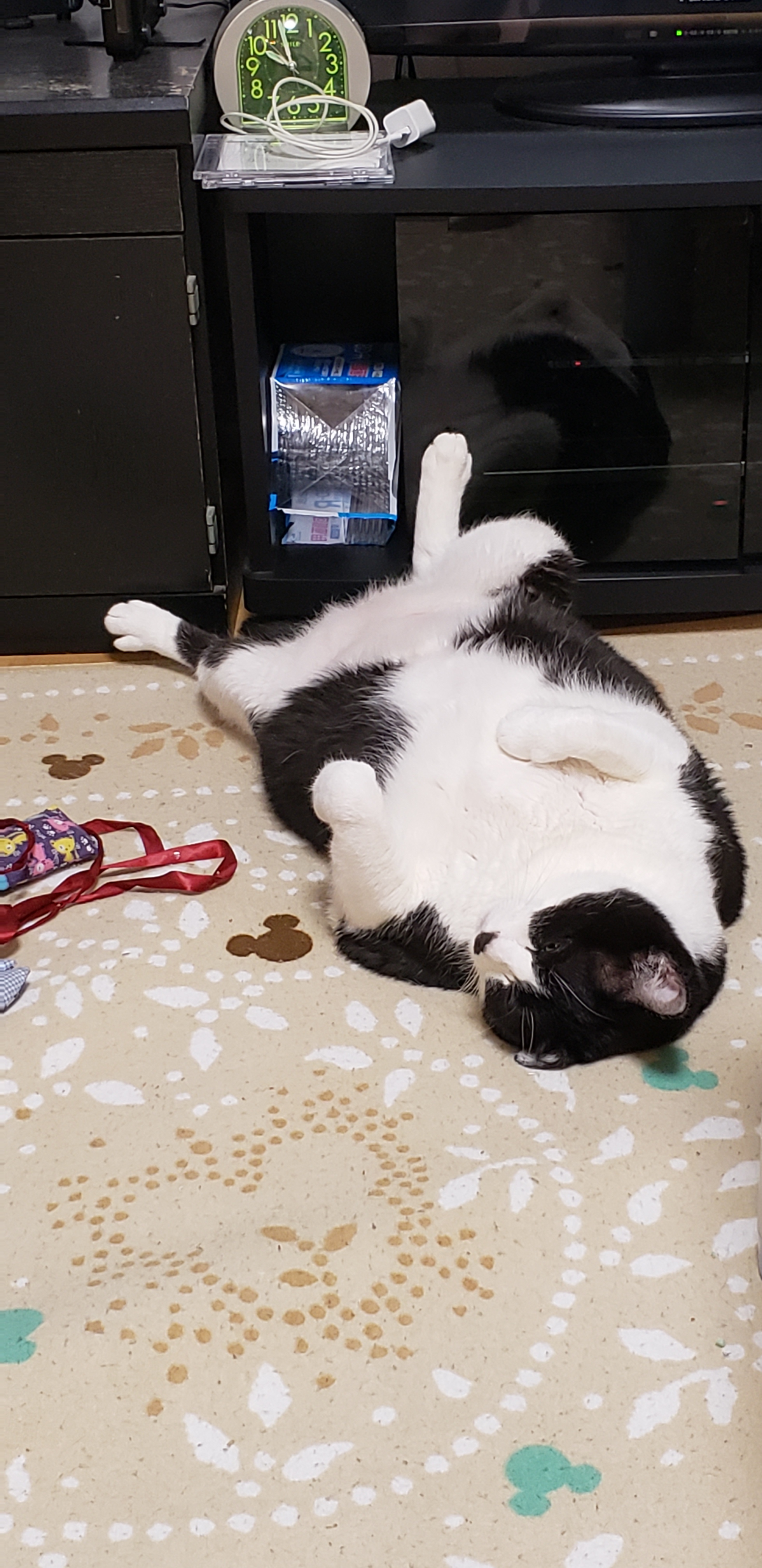 20190109_215231.jpg