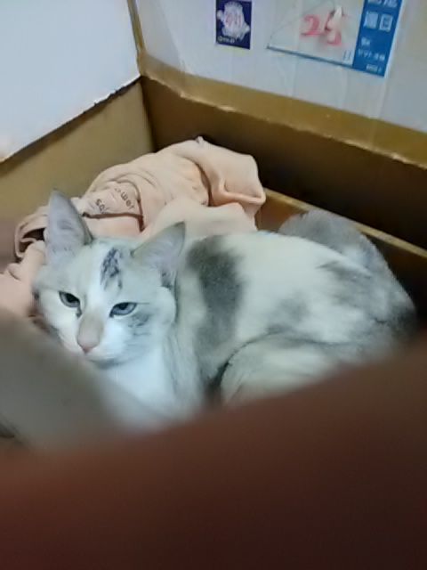20191120234634.jpg