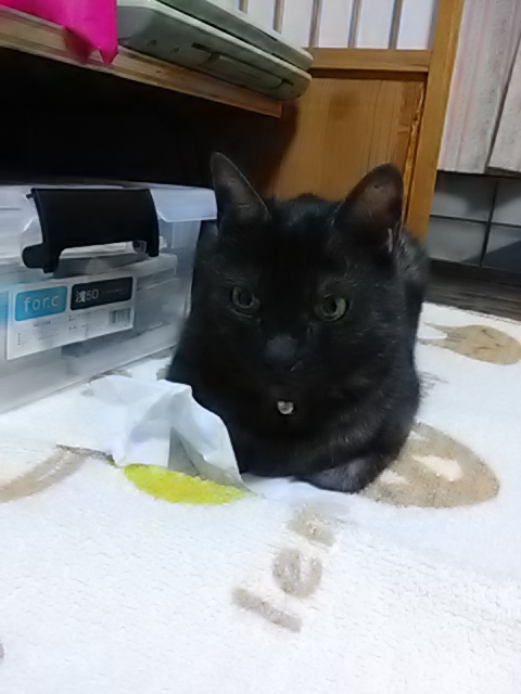 20200624235540.jpg