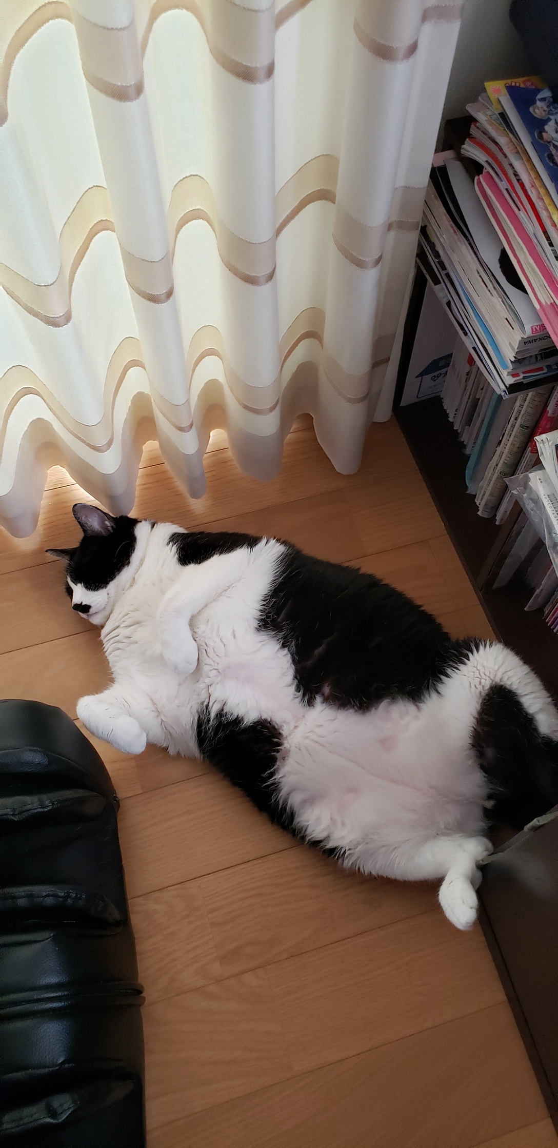 20200905_111835.jpg