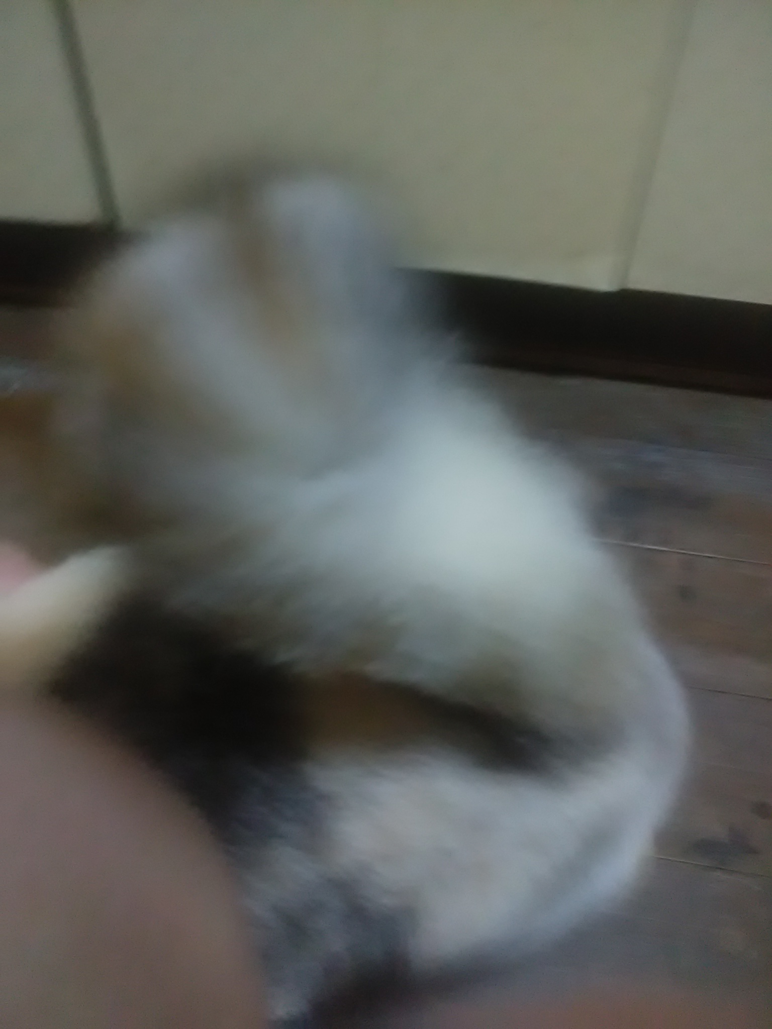 20201030205830.jpg