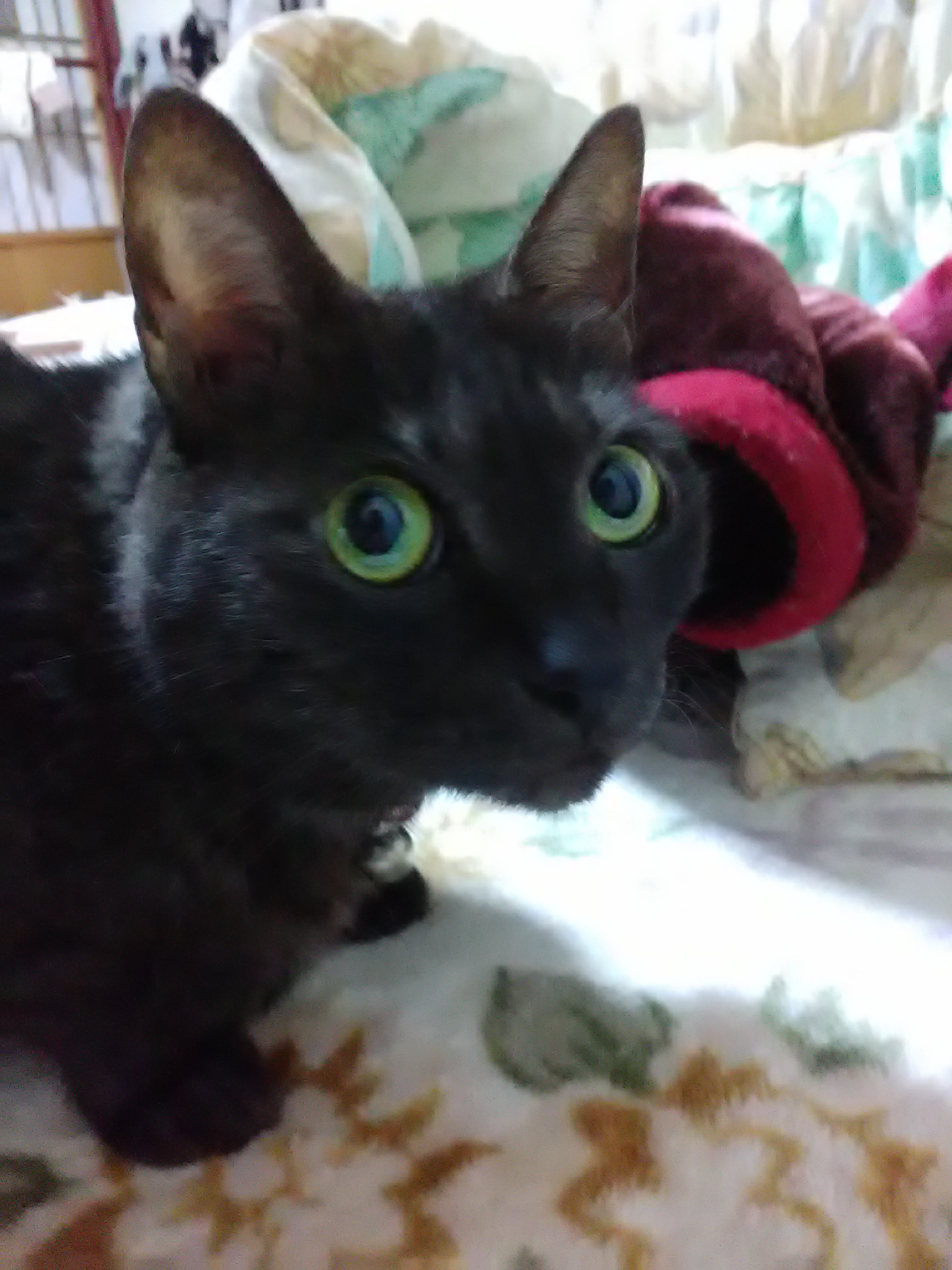 20201206200359.jpg