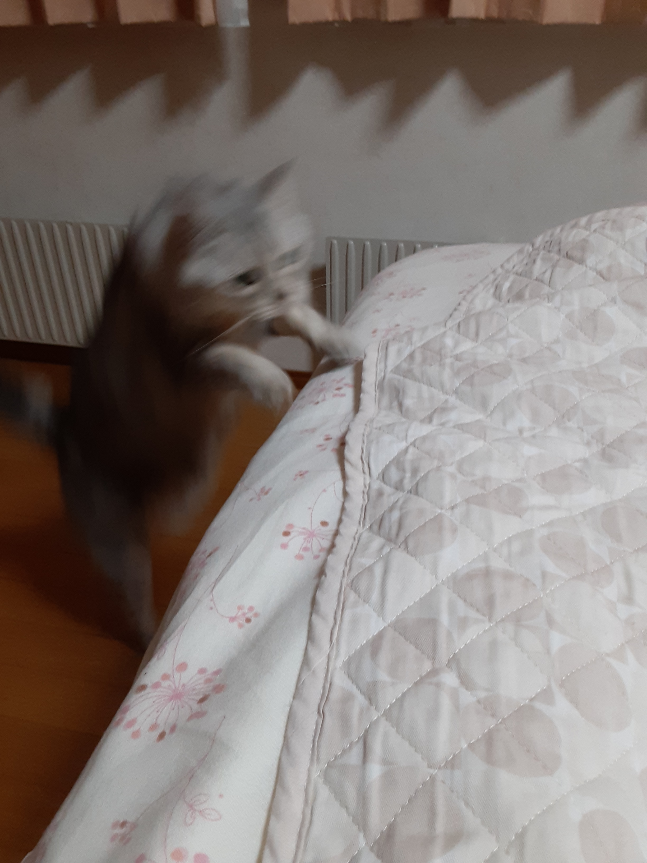 20210603_213208.jpg